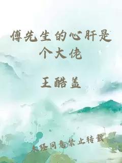 傅先生的心肝是个大佬