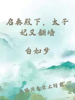 启奏殿下，太子妃又翻墙